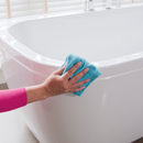 HG Bathroom Cleaner Shine Restorer