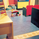 HG Vinyl Cleaner Extra Strong