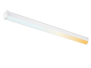 Oracle Plus LED Batten CCT & Multi Wattage • 1200mm (4ft )