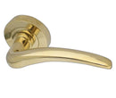 Gull Door Handle on Rose Brass