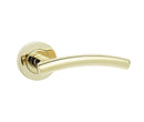 Curve Door Handle on Rose Brass