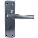 ALLY LOCK HANDLE
