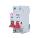 FuseBox 100A Double Pole 2 Module Main Switch (Isolator)